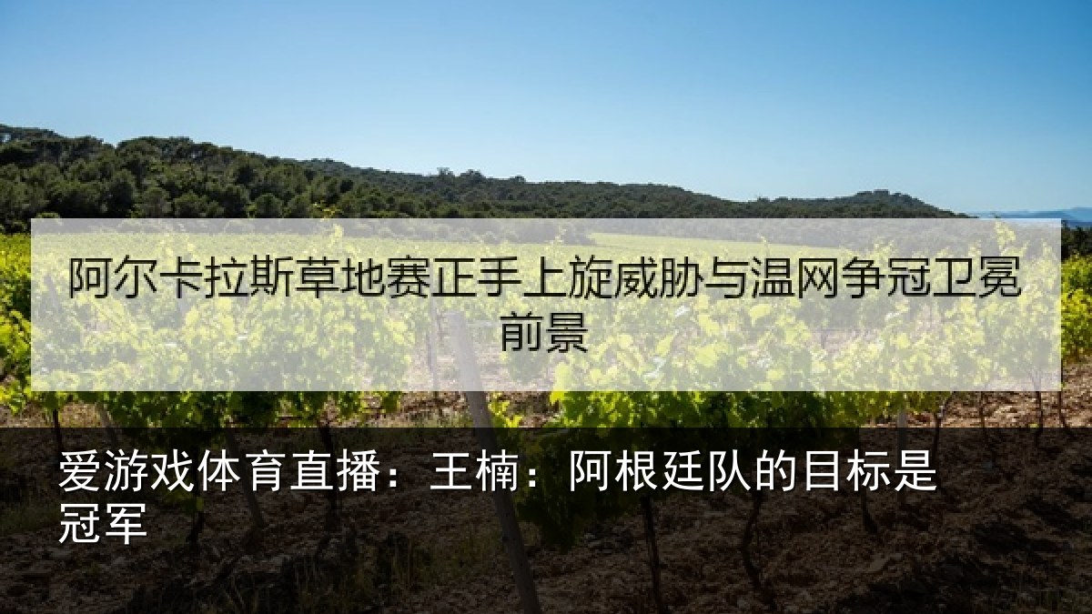 爱游戏体育直播:王楠:阿根相关情况